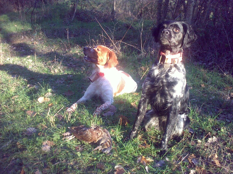 Passion chasse
